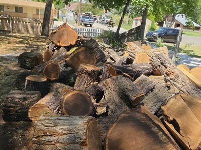 Bulk Firewood Logs