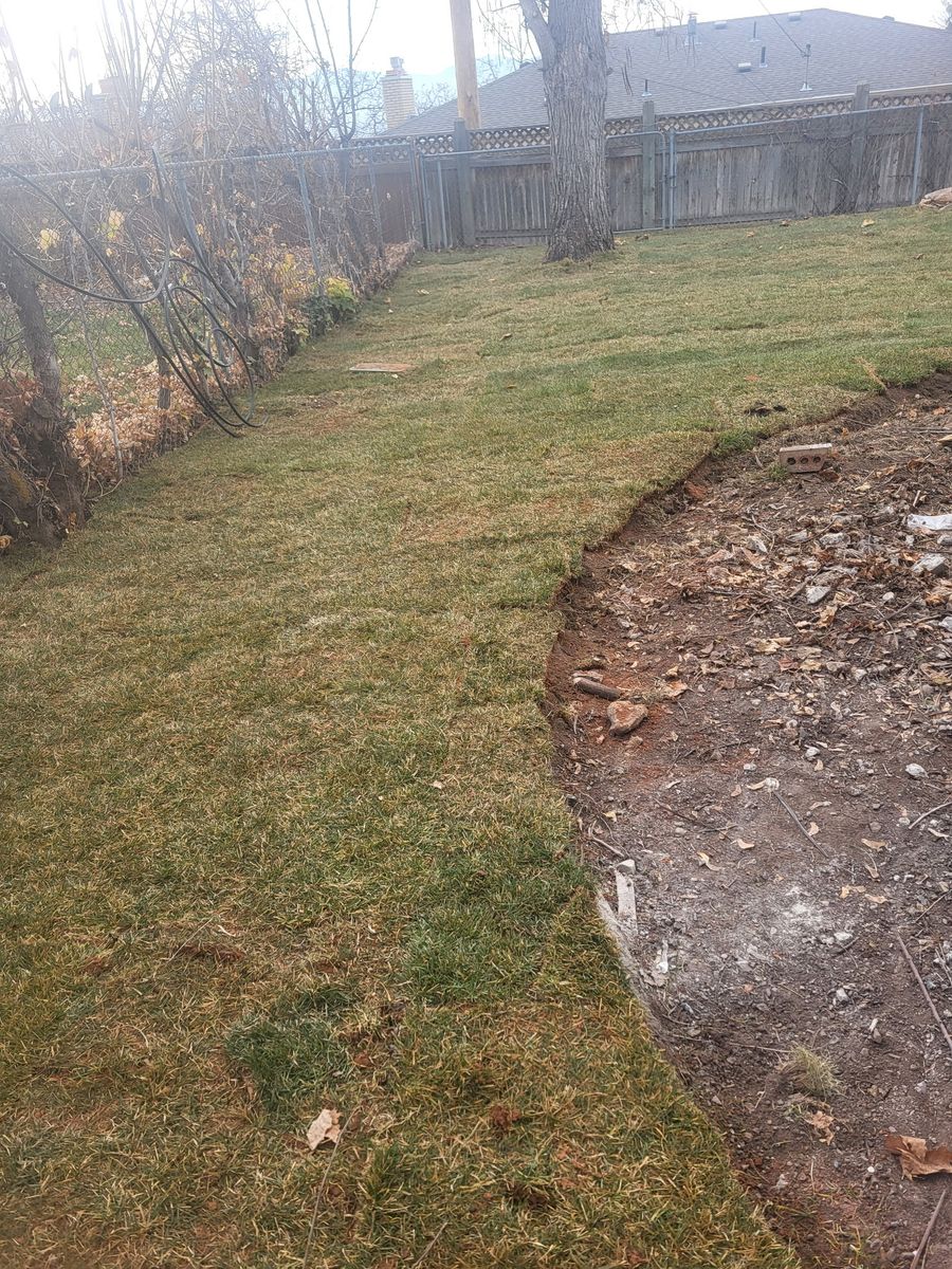 Yard renovation | Sprinkler Install | Lawn maintenance