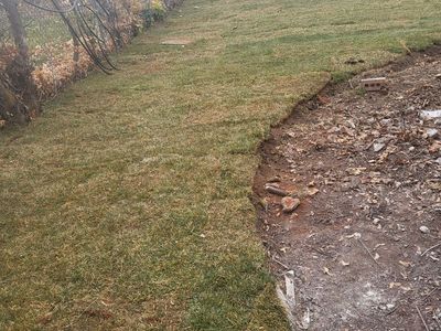 Yard renovation | Sprinkler Install | Lawn maintenance