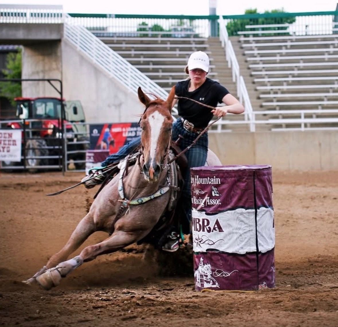 AQHA 2019 Red Roan Gelding | 16.2 HH | 2D/3D Barrel Horse