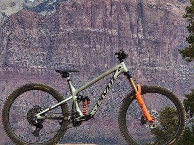 2024 Pivot Firebird XO (Large Frame)