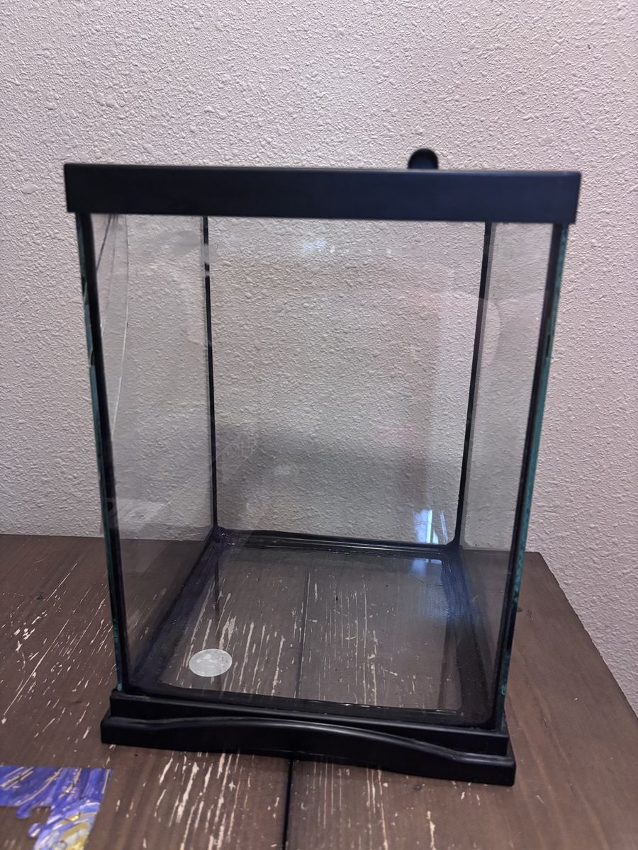 Small glass tank
