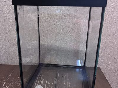 Small glass tank