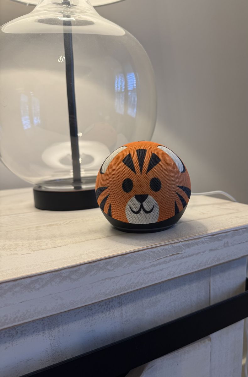 Echo Dot Kids