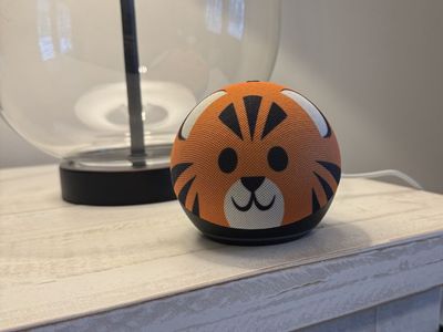 Echo Dot Kids
