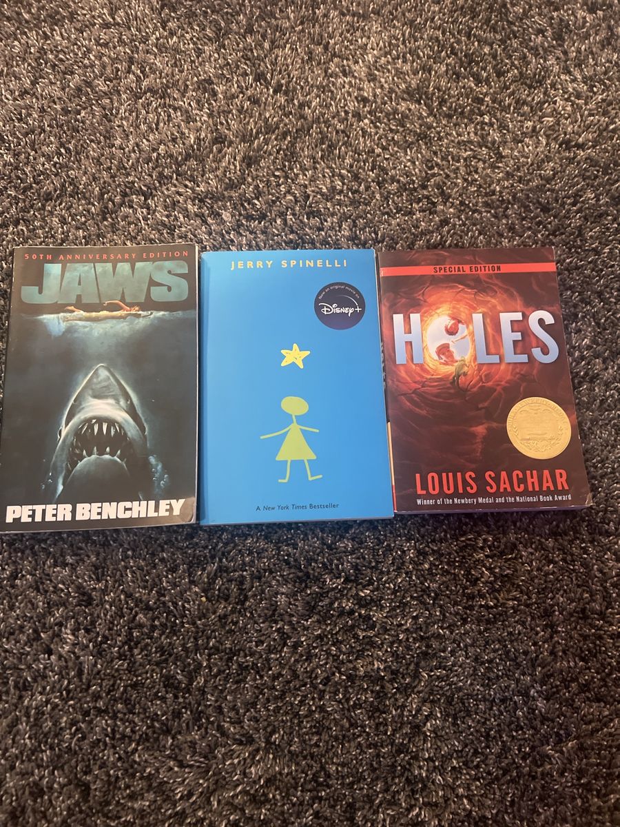 Lot of 3 Popular Fiction Paperbacks: Jaws, Stargirl, and Holes