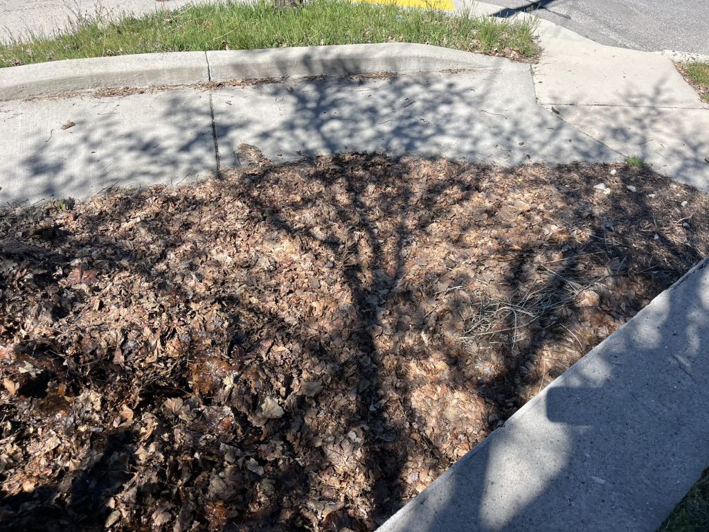 Free Leaves For Raised Garden Bed Or Compost