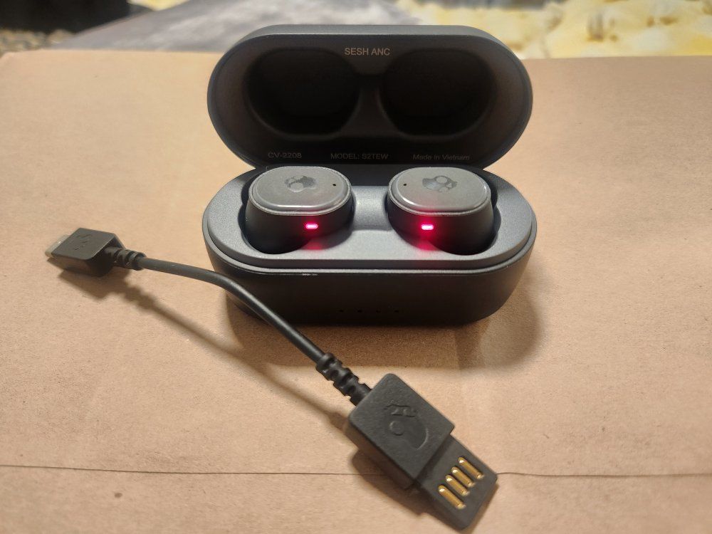 Skullcandy Sesh ANC True Wireless Earbuds with Charging Case