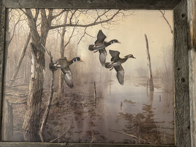 Backwater By Jim Hansel Framed Art