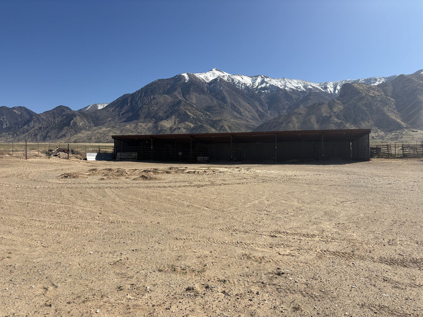 Stalls for rent mona