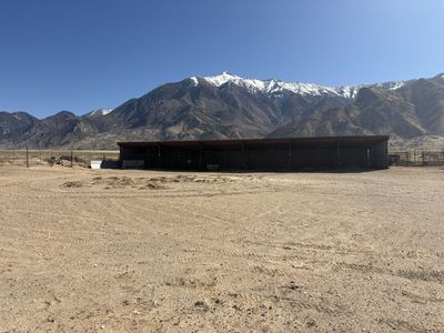 Stalls for rent mona