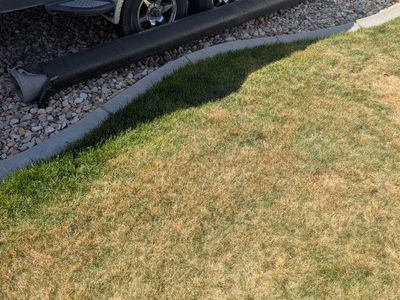 Landscape Fabric weed control and drain field