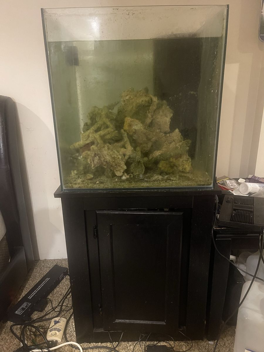 60 gallon rimless cube