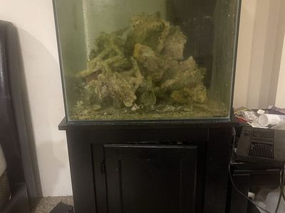 60 gallon rimless cube