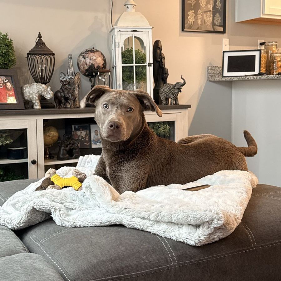 Meet Nelly…