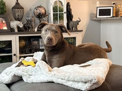 Meet Nelly…
