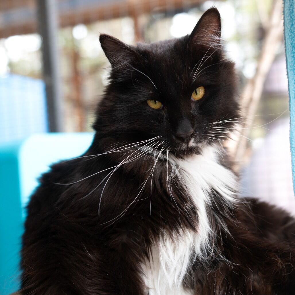 Hello my name is Sam