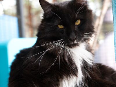 Hello my name is Sam