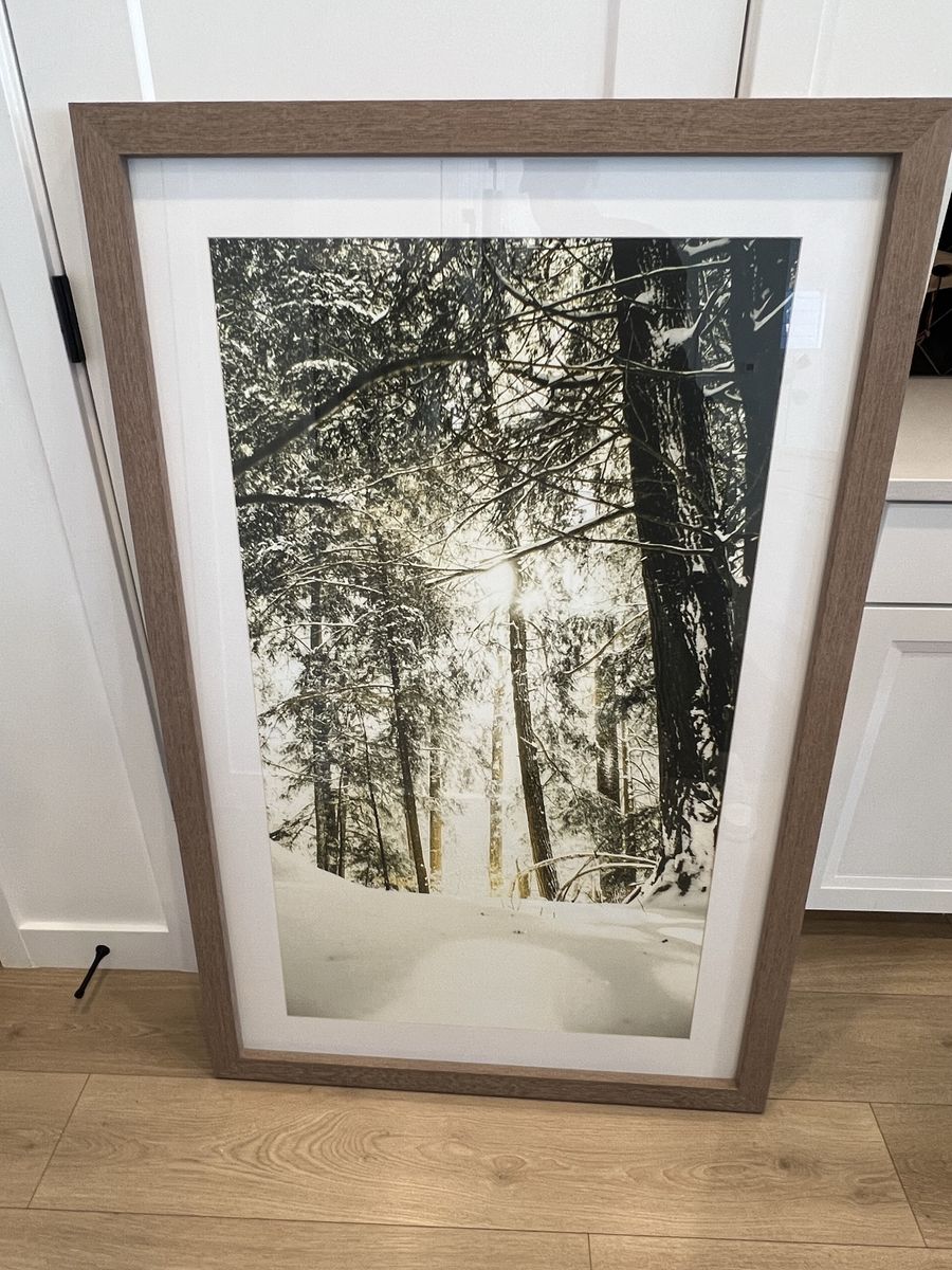 Large Framed Winter Forest Print