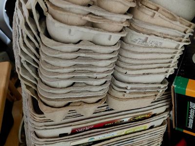 Egg Cartons .25 EACH