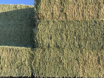 3x3x8 Alfalfa Hay