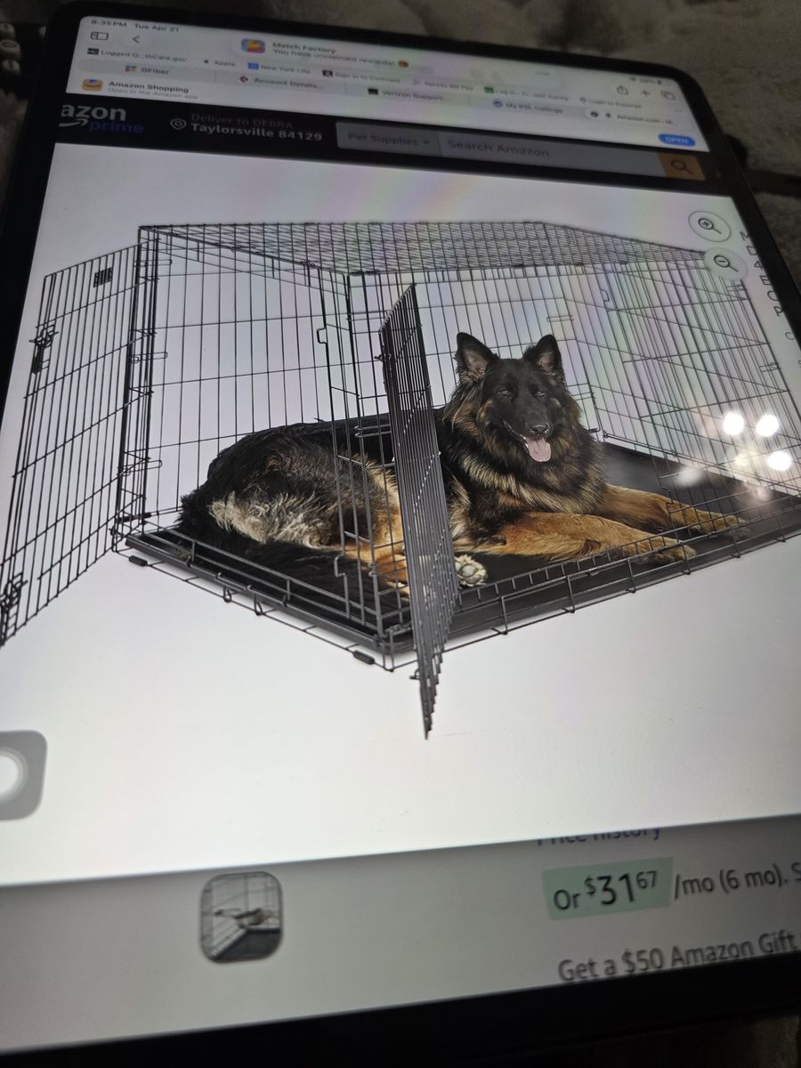 Pet double door icrate