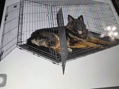 Pet double door icrate