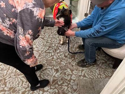 Adorable little therapy mini