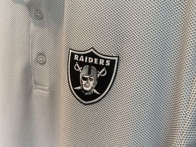 Las Vegas Raiders Men's Polo Shirt Grey/White Short Sleeve NFL Fan Apparel Size Large