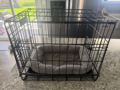 MidWest iCrate 1518 Single Door Folding Pet Crate (18.63" L) with Washable Bed