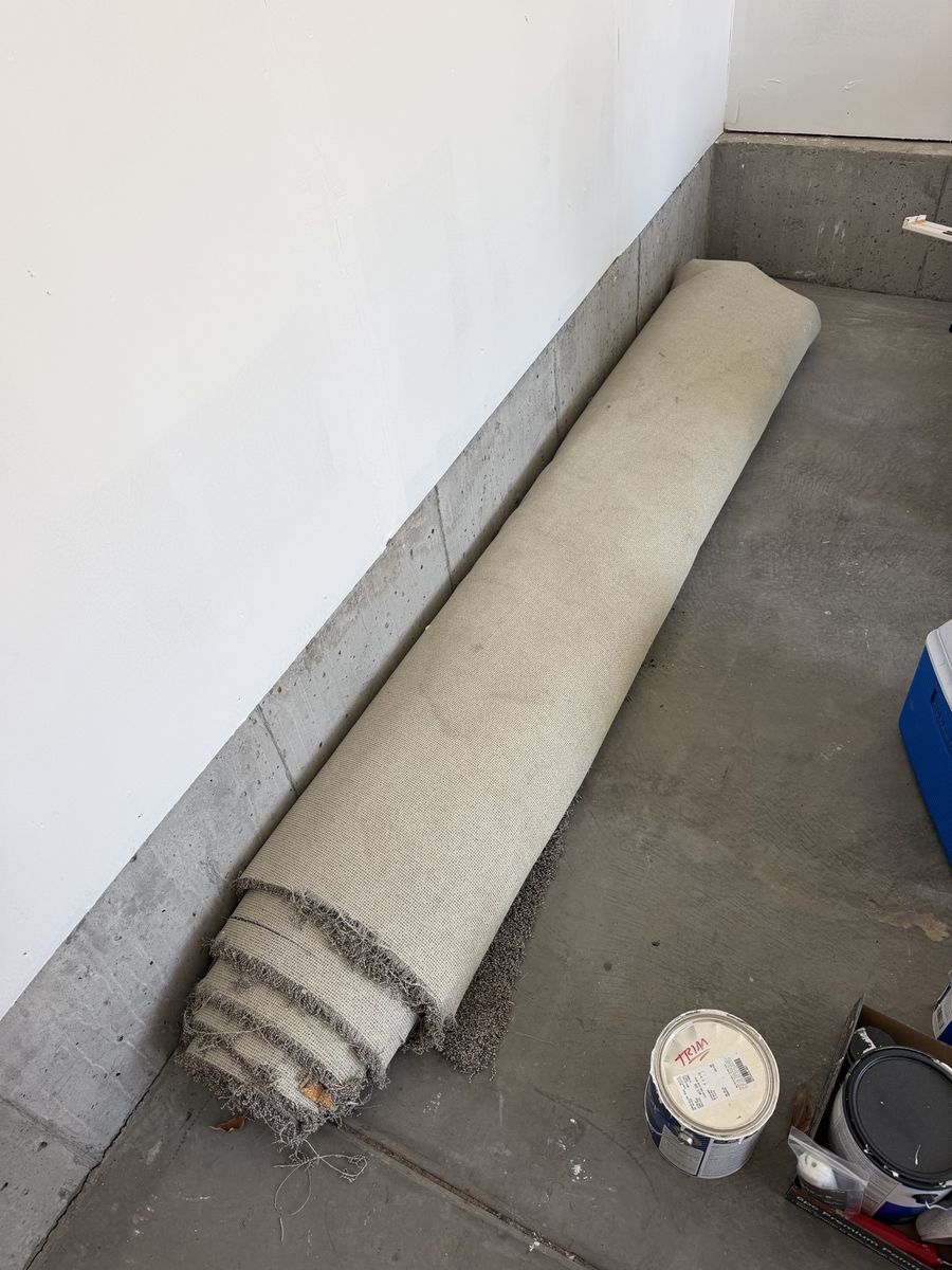 Carpet!