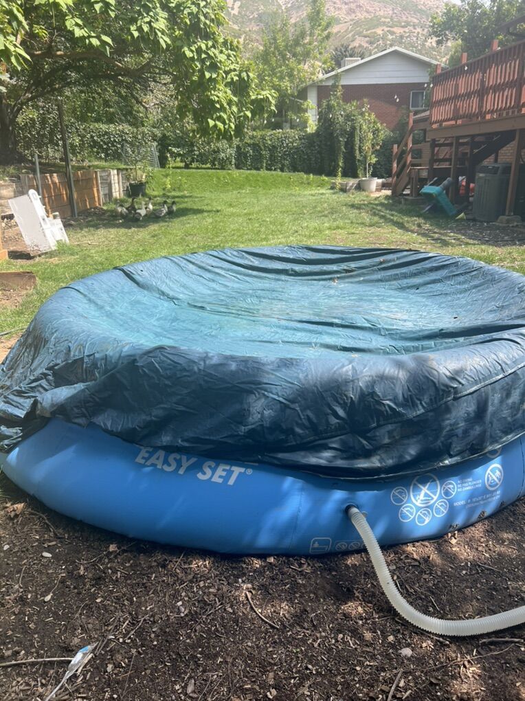 Inflatable Pool 10'x30 W/ Skimmer Pump And Cover