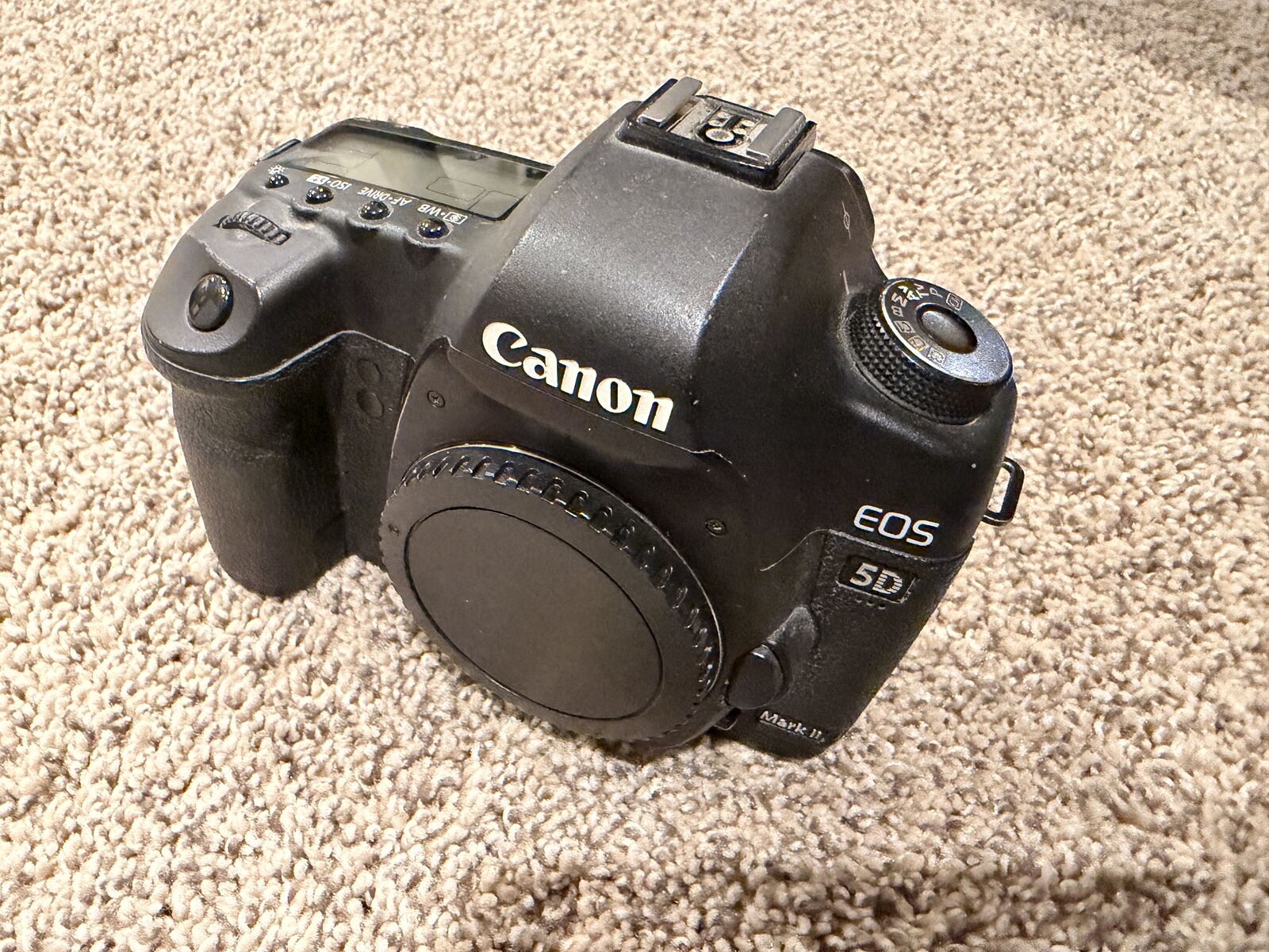Canon Mark II 5D w/ 20-35mm lens, external monitor and camera bag