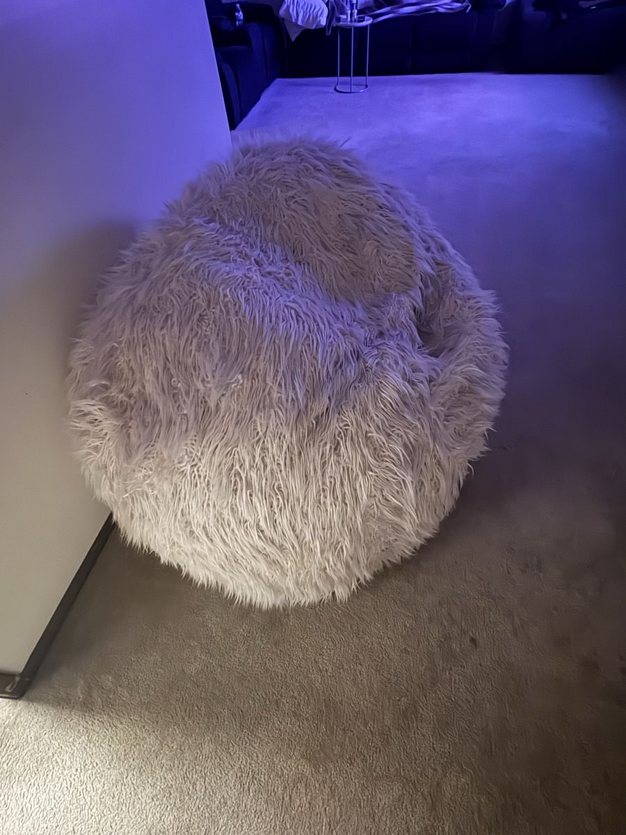 Large Shag Faux Fur Bean Bag Chair