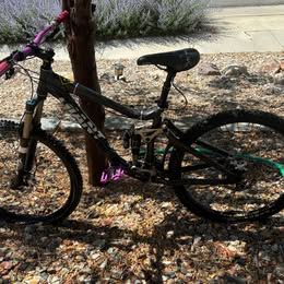 Giant Reign XS Mountain Bike