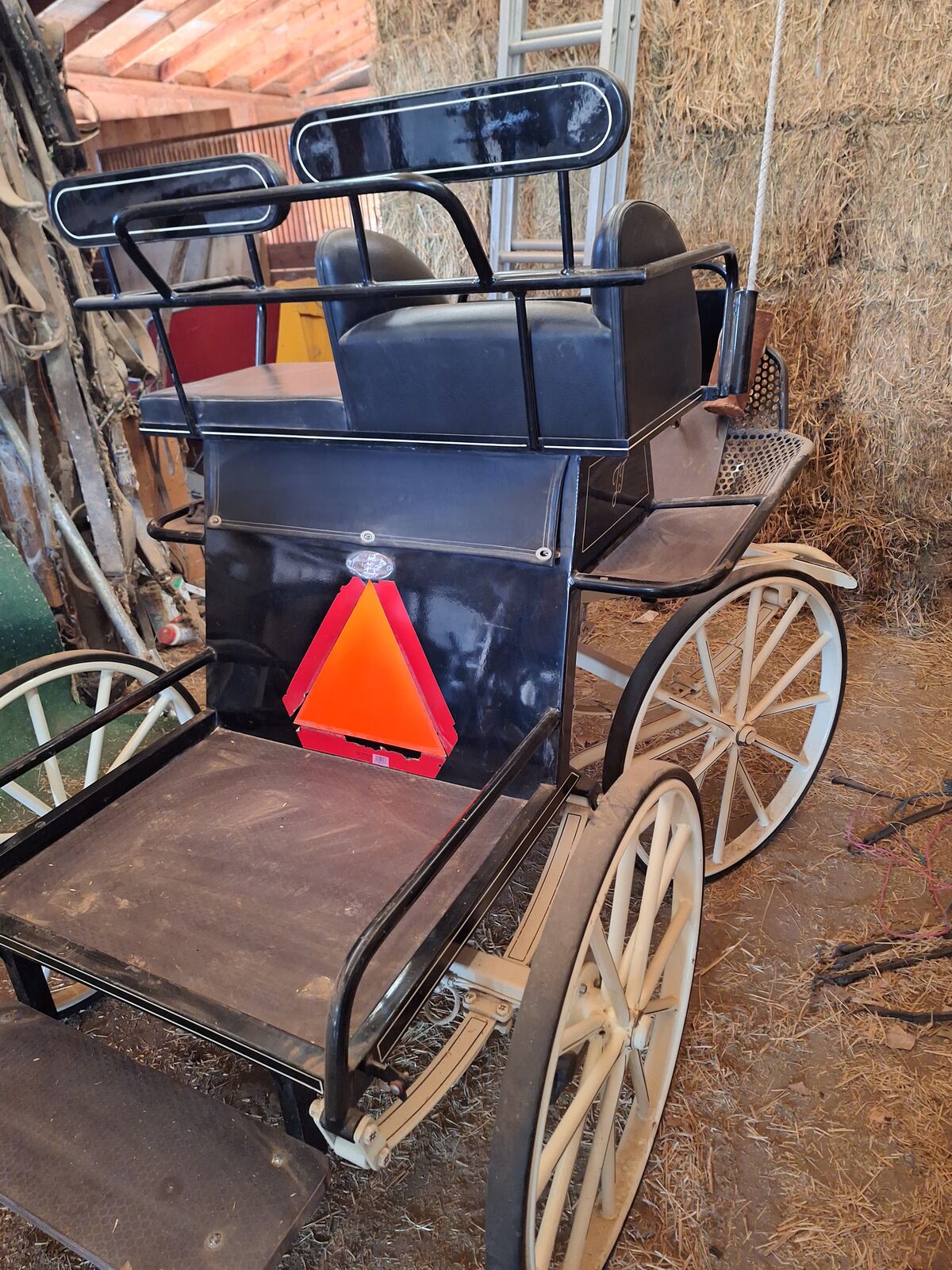 Competition  carriage  from  Holland