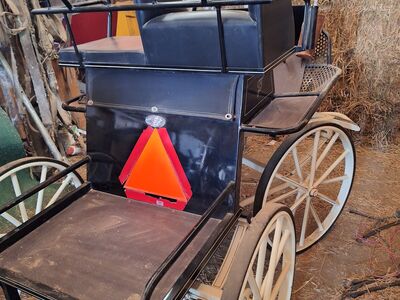 Competition carriage from Holland