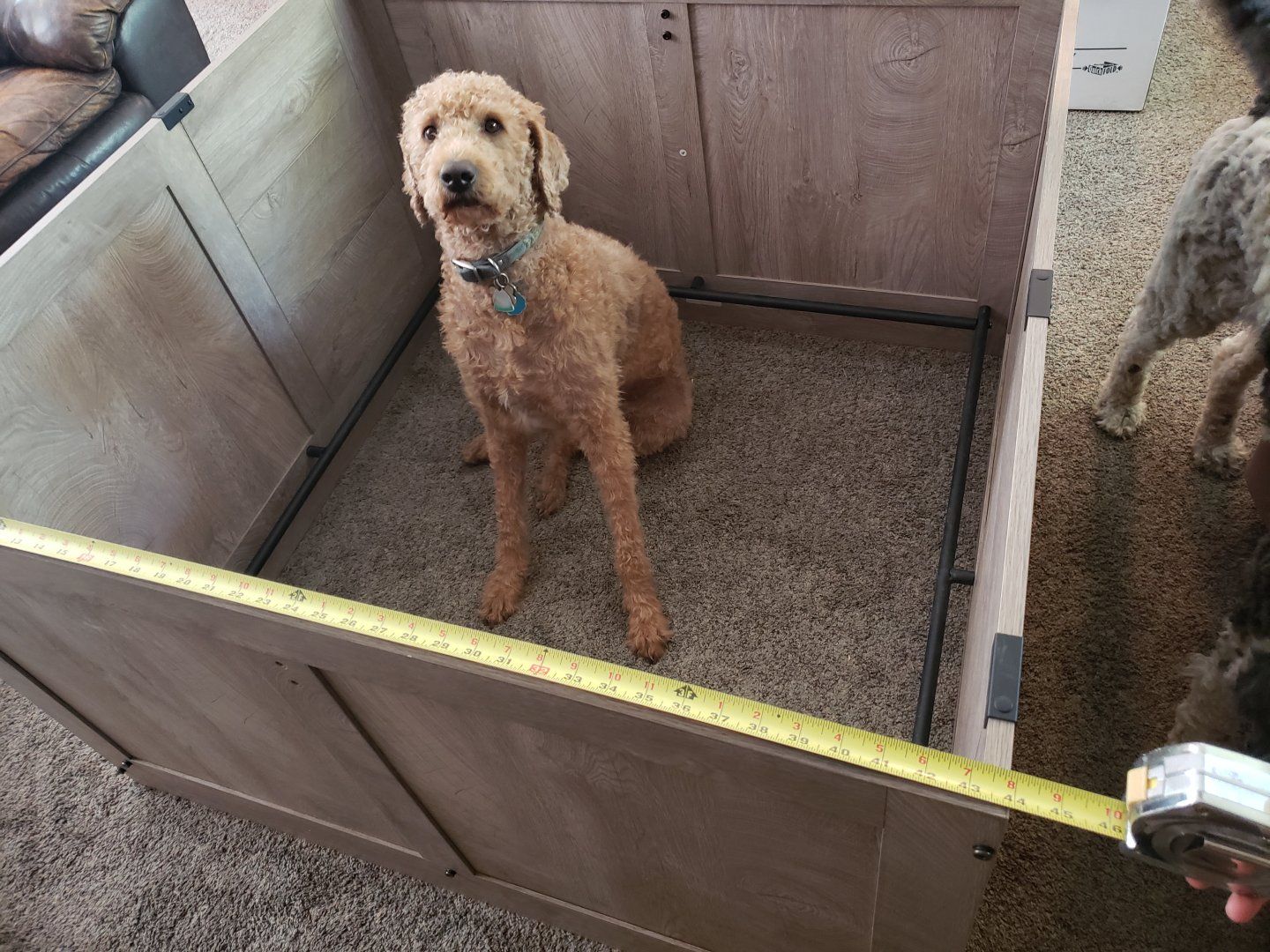 Whelping Box (44"x44"x27") – MDF Wood Design for Medium & Large Breeds! with breeding supplies