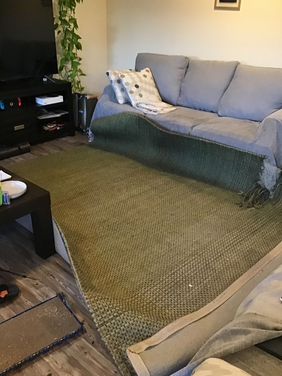FREE 8x10 green rug with damage