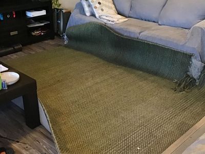 FREE 8x10 green rug with damage