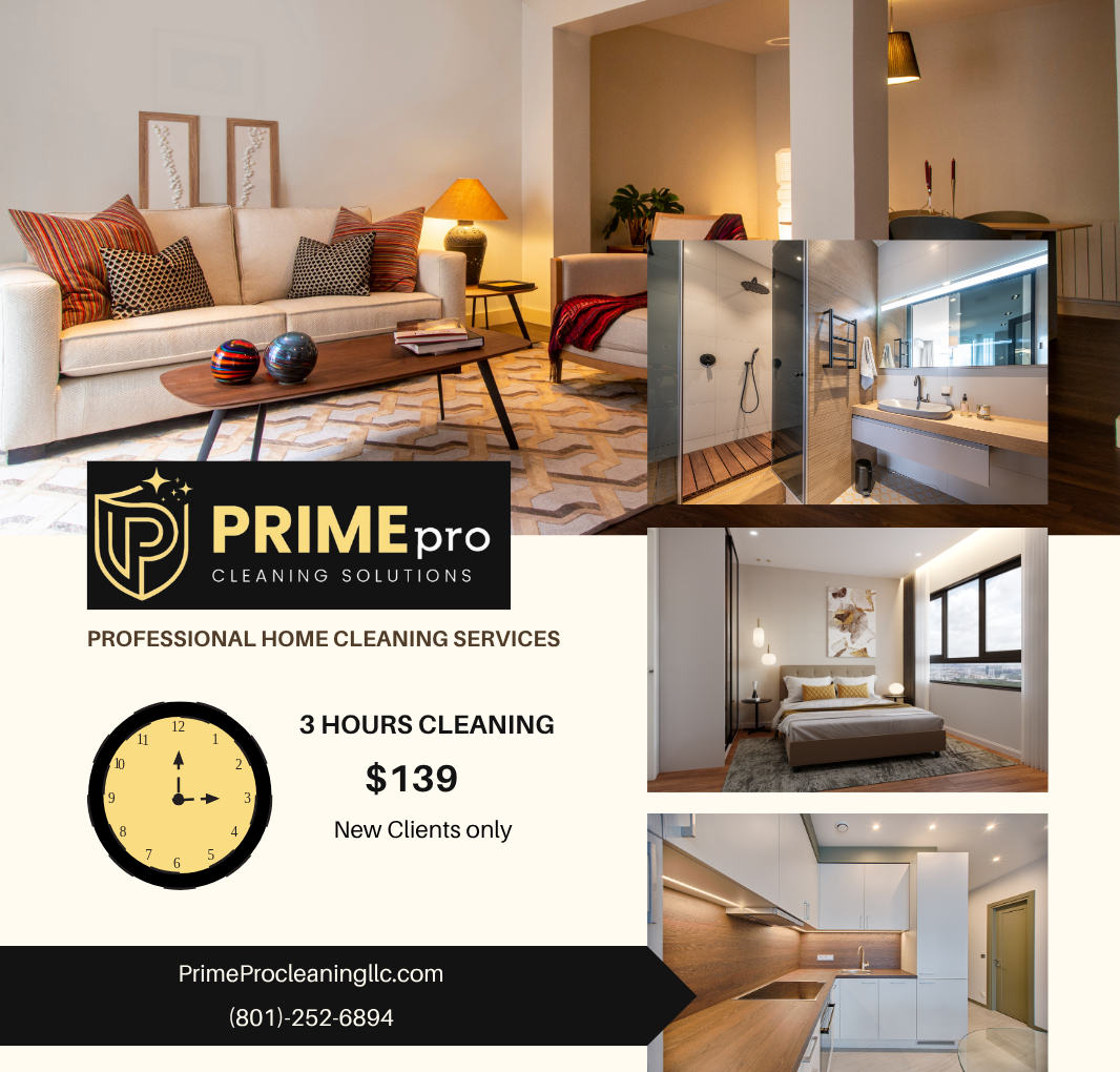 Professional House Cleaning Service