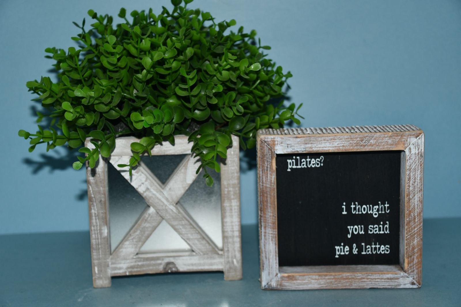 HOME DECOR ~ FARMHOUSE ARTIFICIAL PLANT (HEIGHT 10") + "PILATES...." SIGN (5" x 5") ~ BOTH FOR $5