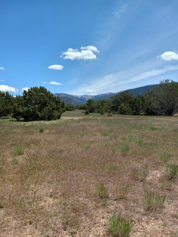 Main image 11