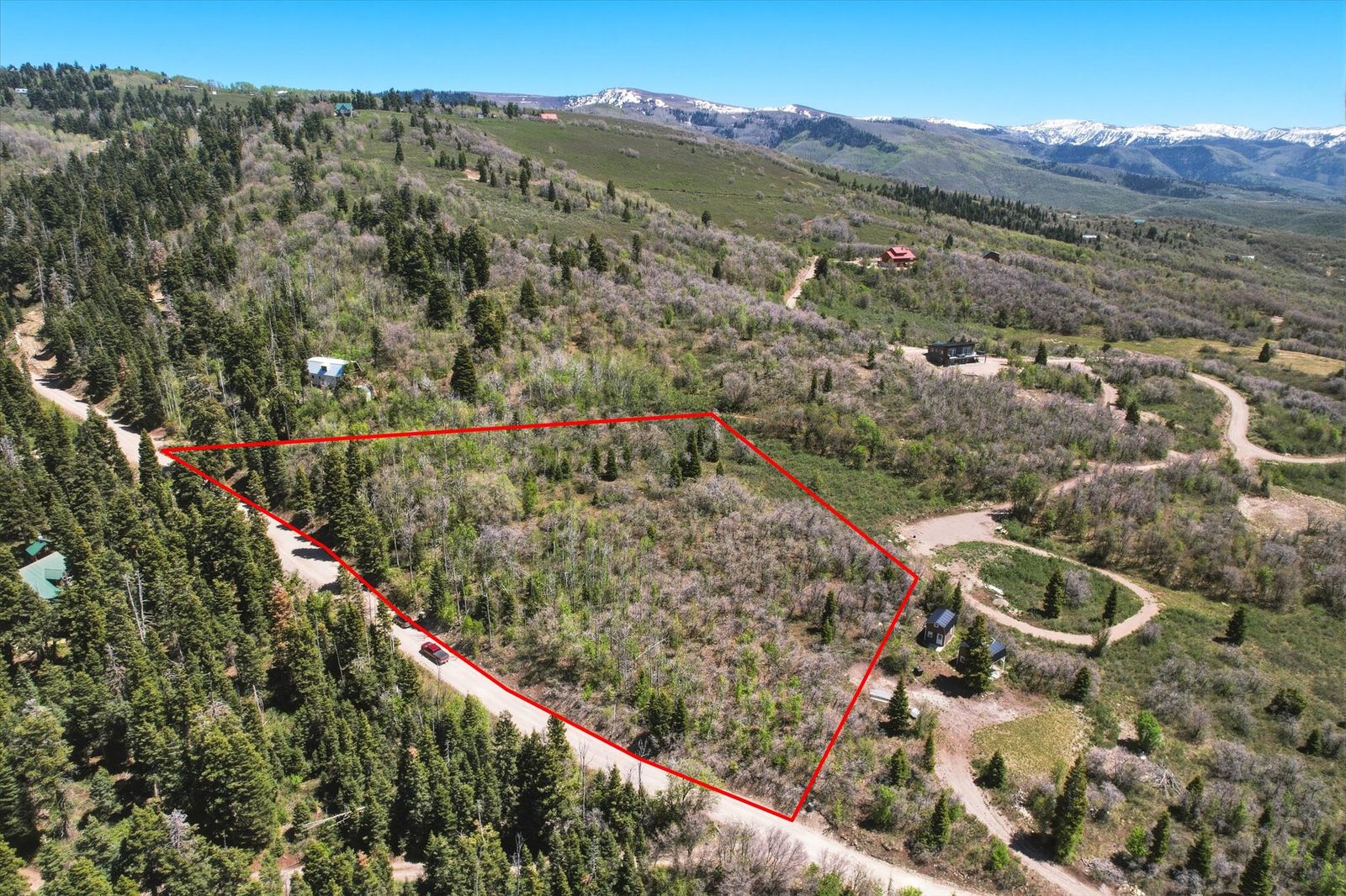Main image 6