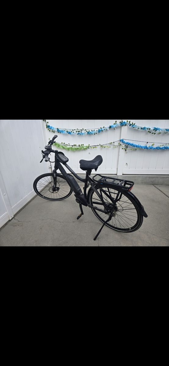 Electric Bike + accessories 