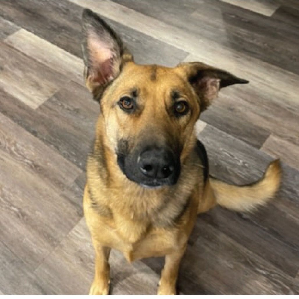 Hello my name is Smokey