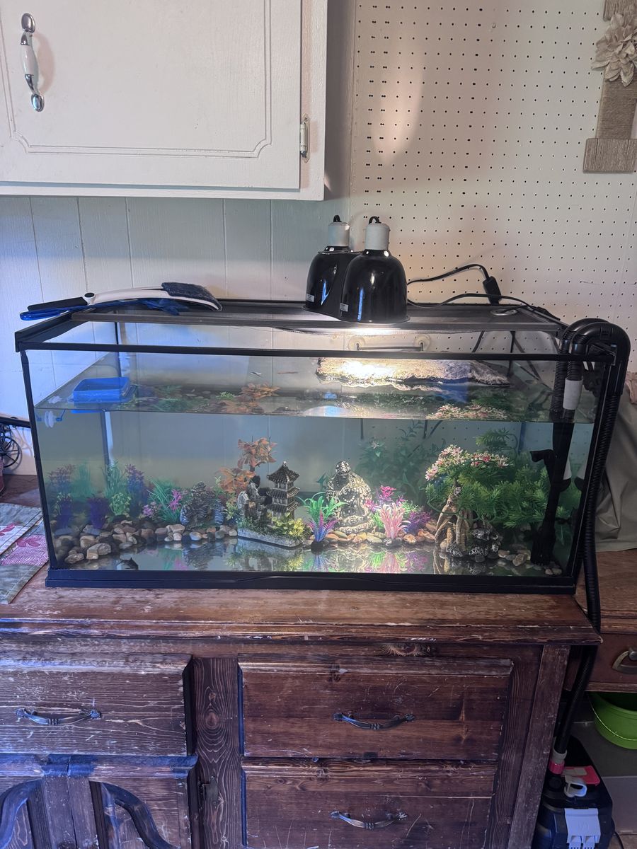 Aquarium tank and Filter for sale