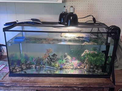 Aquarium tank and Filter for sale