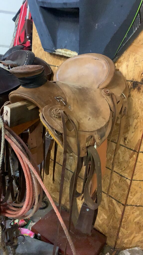 Wade Saddle