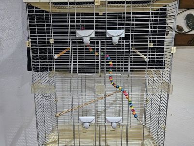 Large Vision Bird Cage